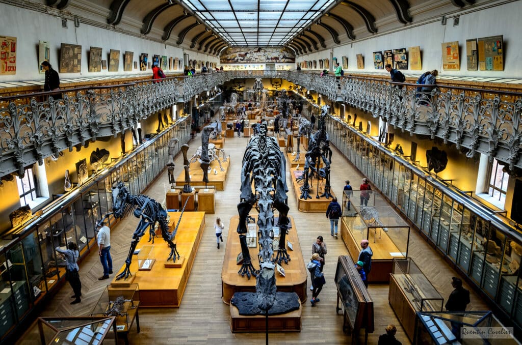 Musée National d'Histoire Naturel, Paris