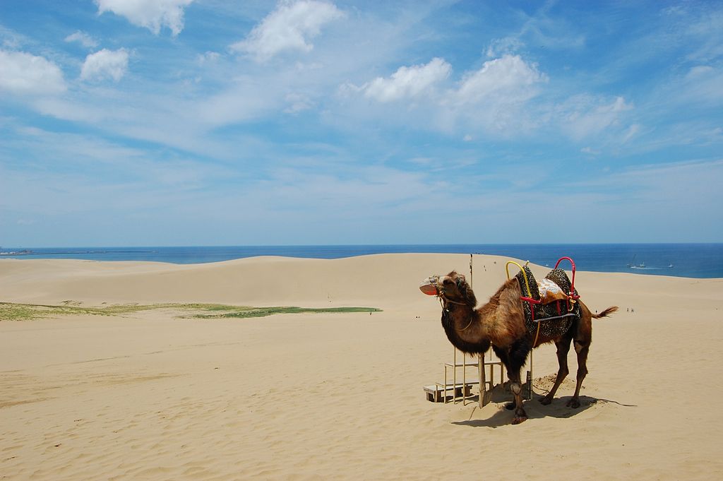 Tottori sand-dunes on the sea, Japan