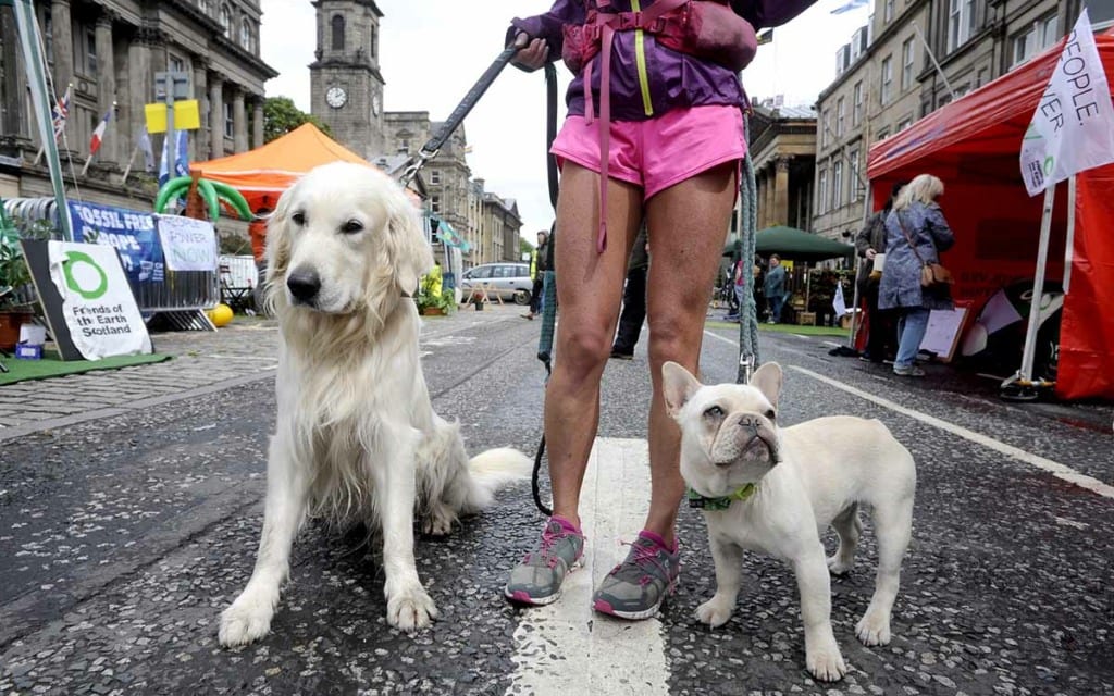 Edinburgh pets safety tips