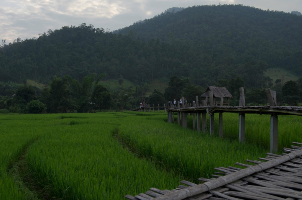View on Bamboo Bridge in Thailand