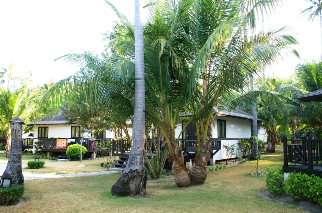 Holiday Inn Resort Koh Phi Phi in Thailand