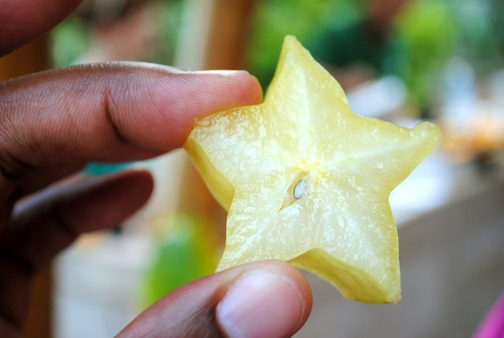 A slice of star fruit. This one was very juicy, but not sweet.