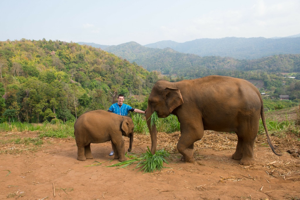 Tourist on Patara Elephant Farm in Chiang Mai