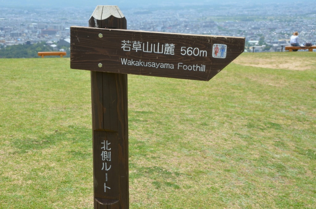 The amazing view from Mount. Wakakusayama, in Nara, Japan