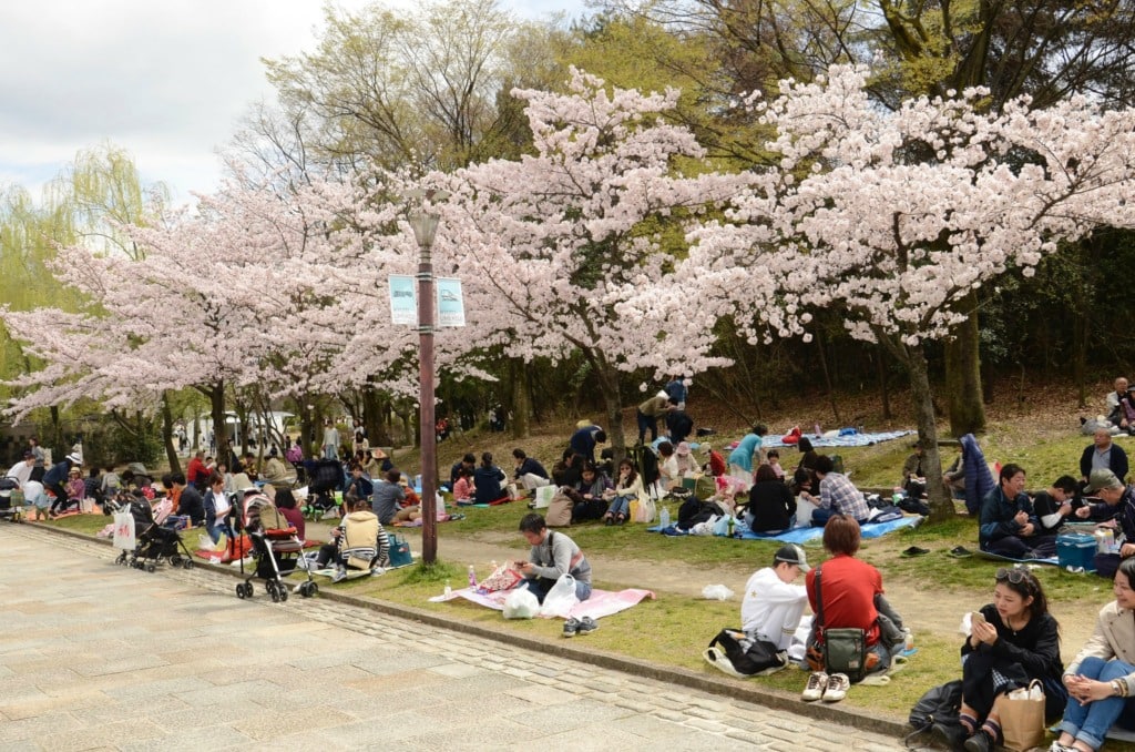Gatherings in Kyoto's Umekoji Park