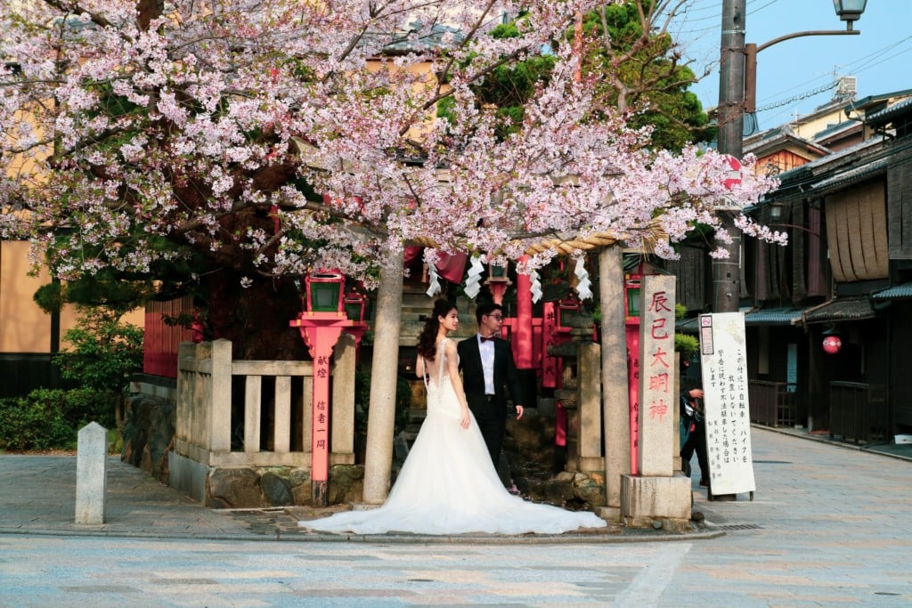 Japanese bride under cherry blossoms in Kyoto