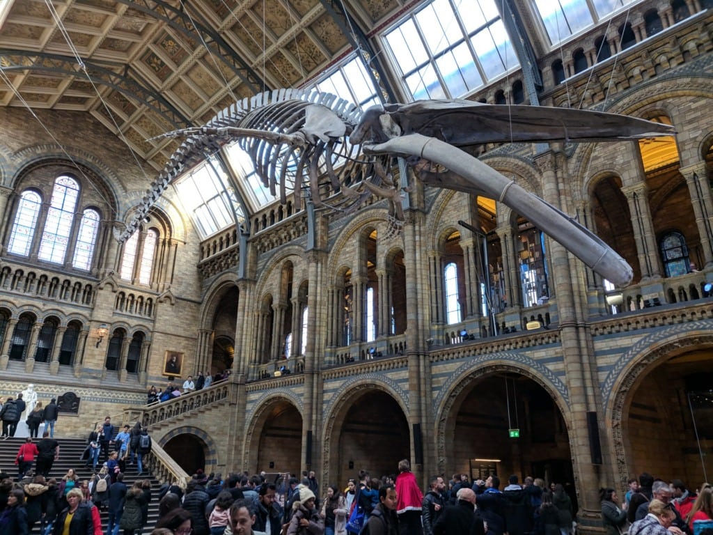 Natural History Museum – London, UK