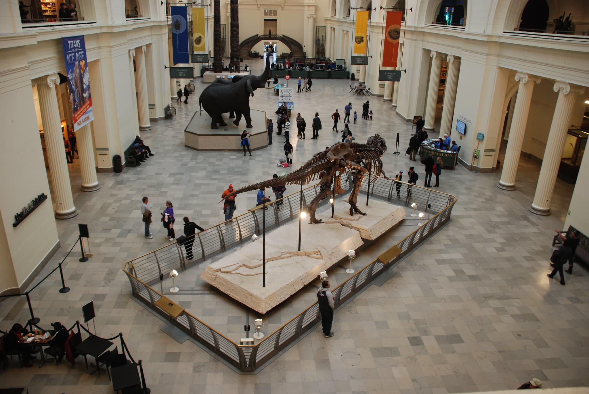 Field Museum of Natural History in Chicago, USA