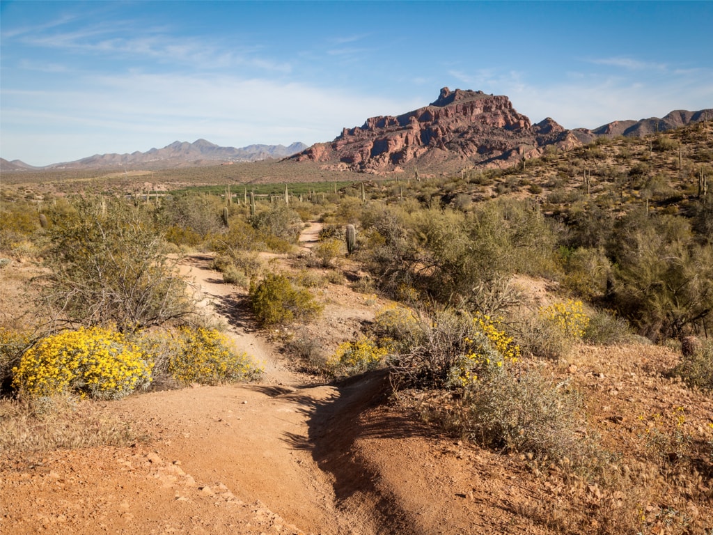 TOP 7 Best Hiking Trails in Mesa Arizona (by a local)