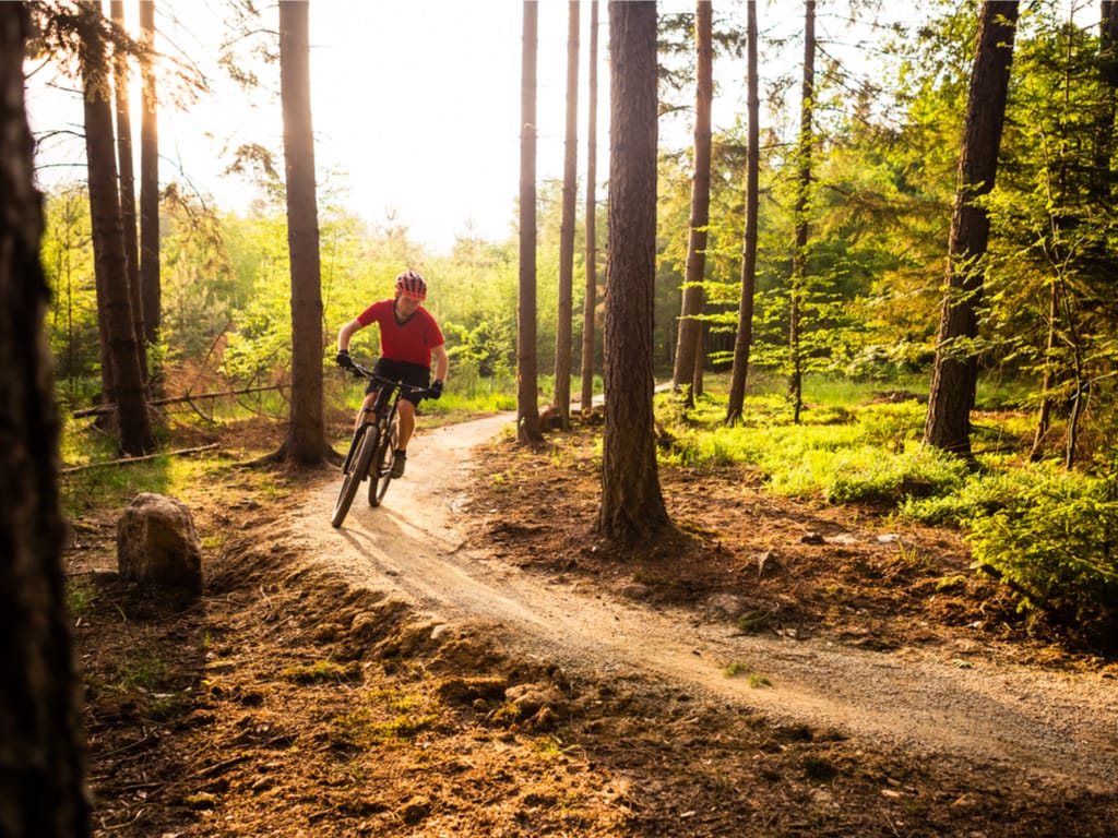 Biking in Kielder The Complete Guide 2024 by a local