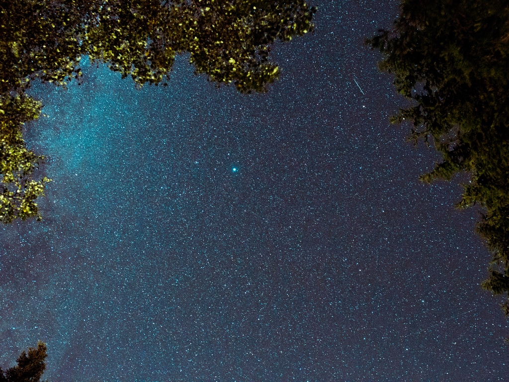 Starry Clear Night in Kielder Forest