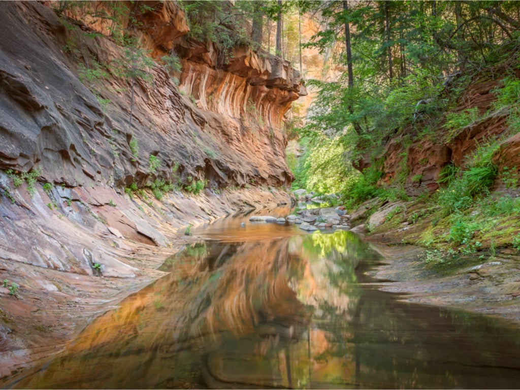 West Fork Oak Creek