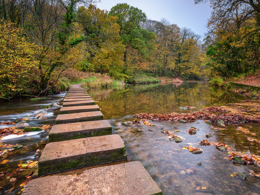 River Blyth Stepping Stones At Humford Woods