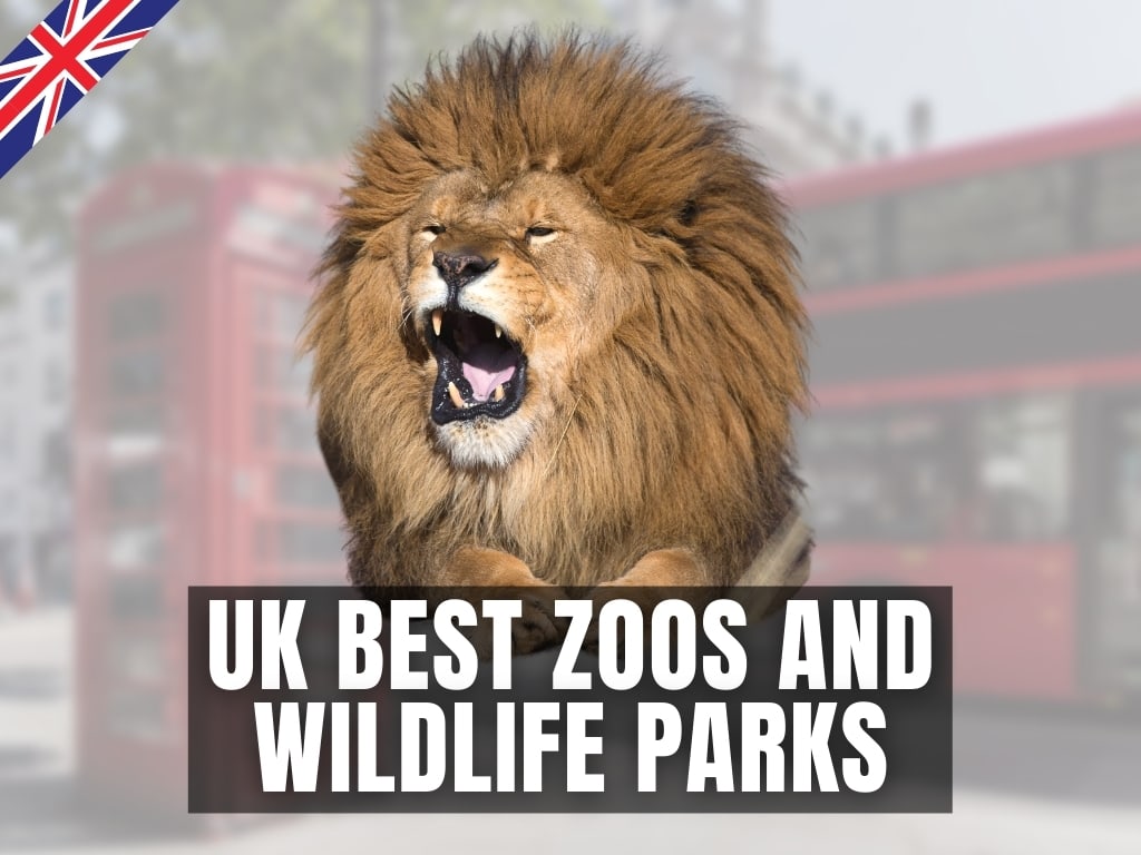 TOP 16 Best Zoos and Wildlife Parks in the UK