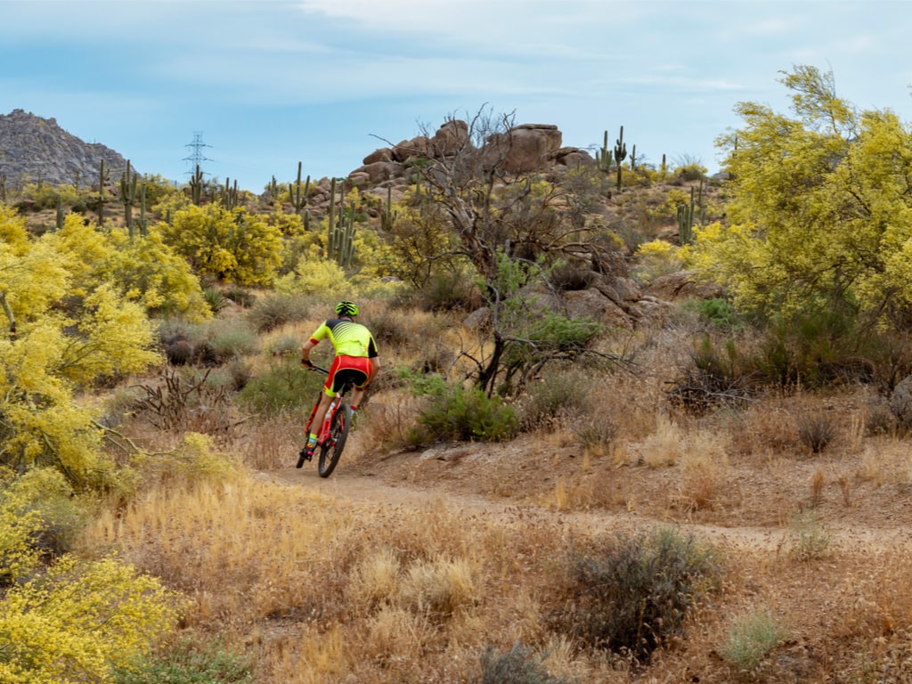 15 Best Mountain Bike Trails in Arizona in 2024 Expert Tips