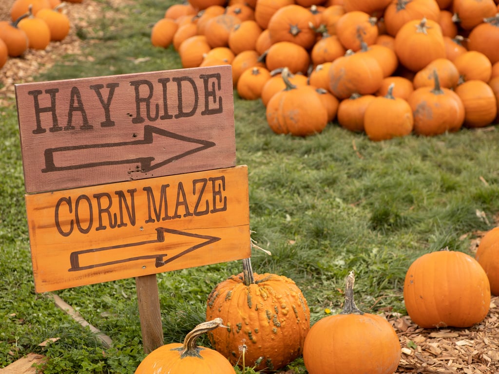 Hay Ride and Corn Maze Sign