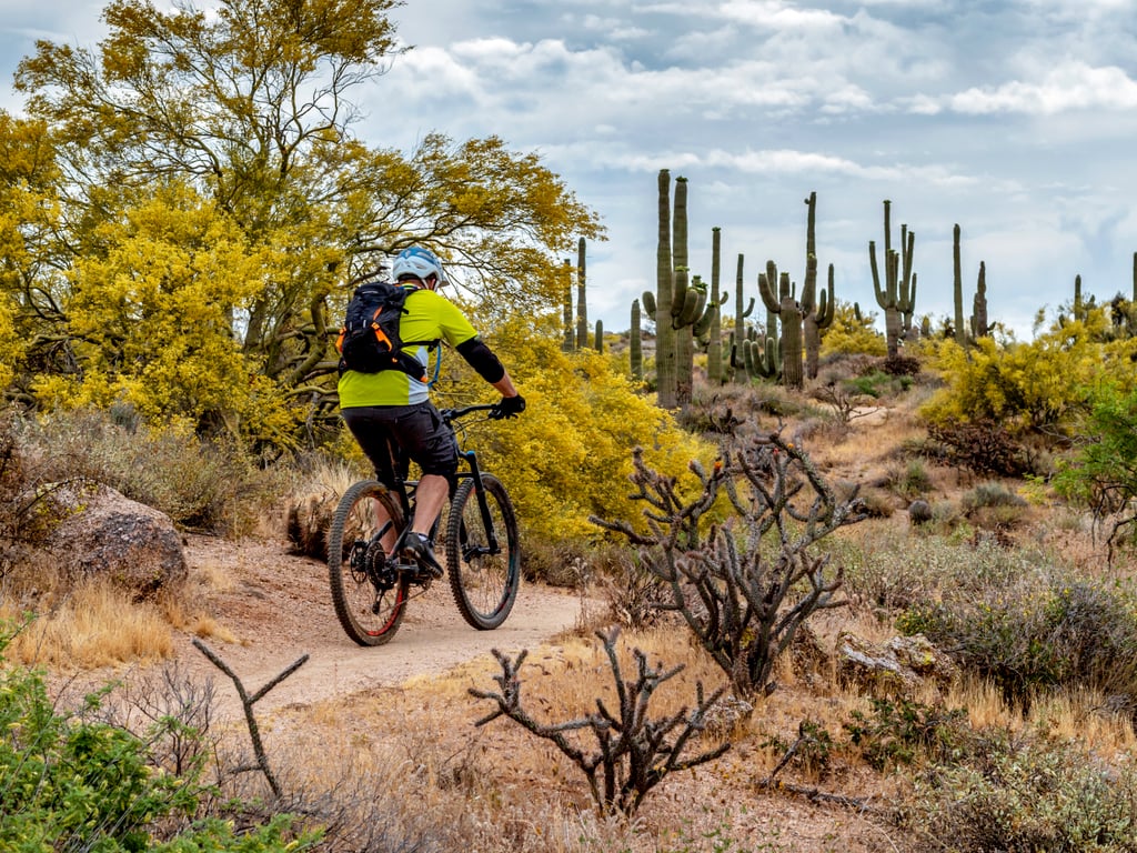 Mountain Biker on Desert Trail in Arizona