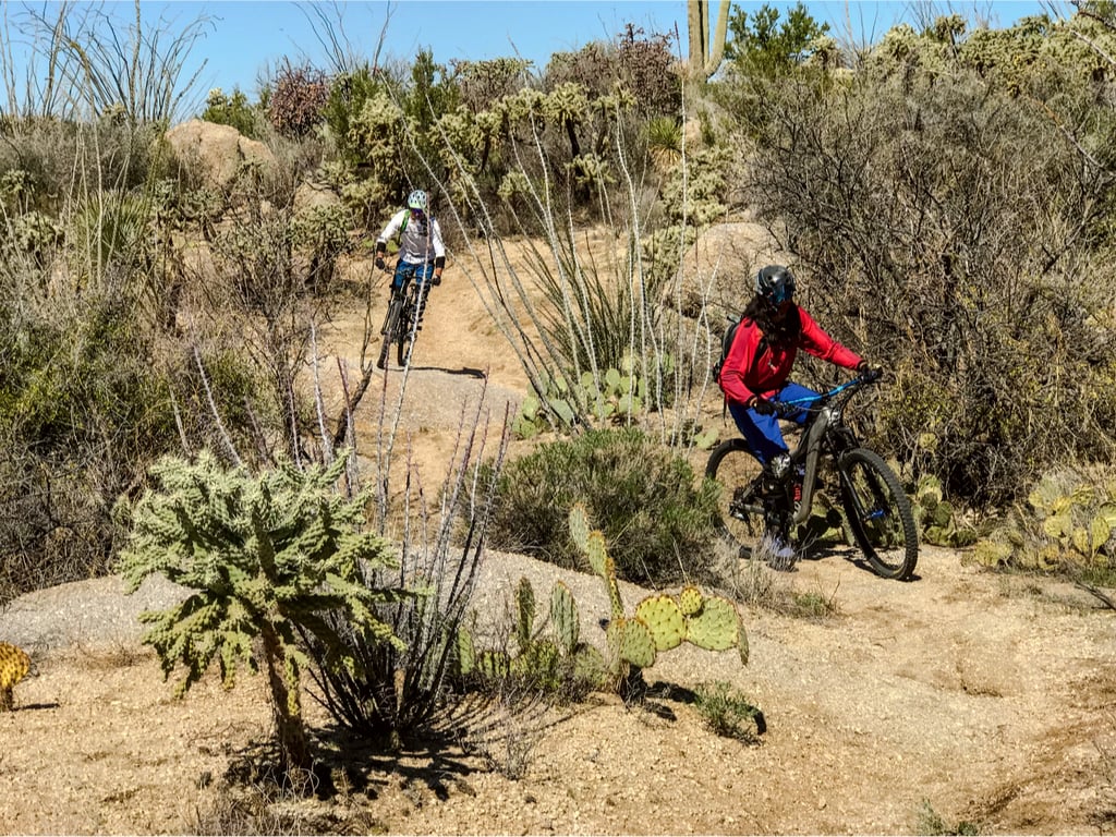 Mountain Biking in Tucson