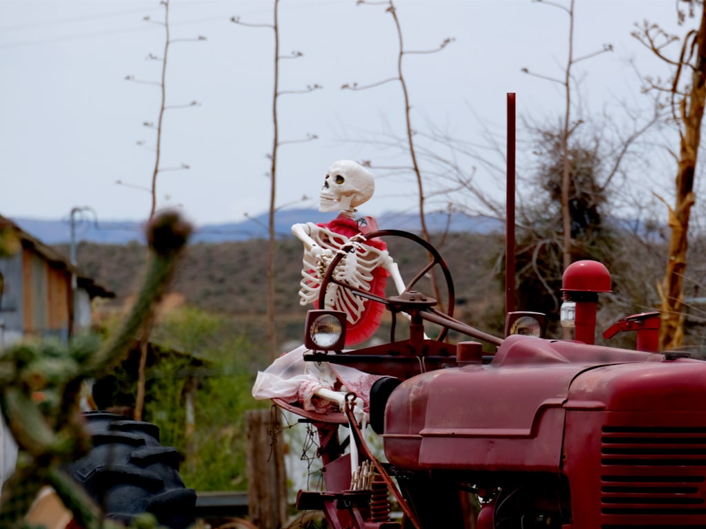 A skeleton on a tractor in Chloride ghost town, Arizona