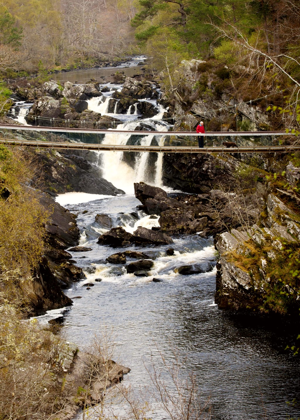 Rogie Falls Waterfall in the Scottish Highlands near the Moray Firth Route