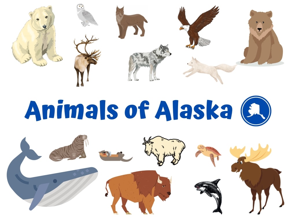 Alaska Animals List