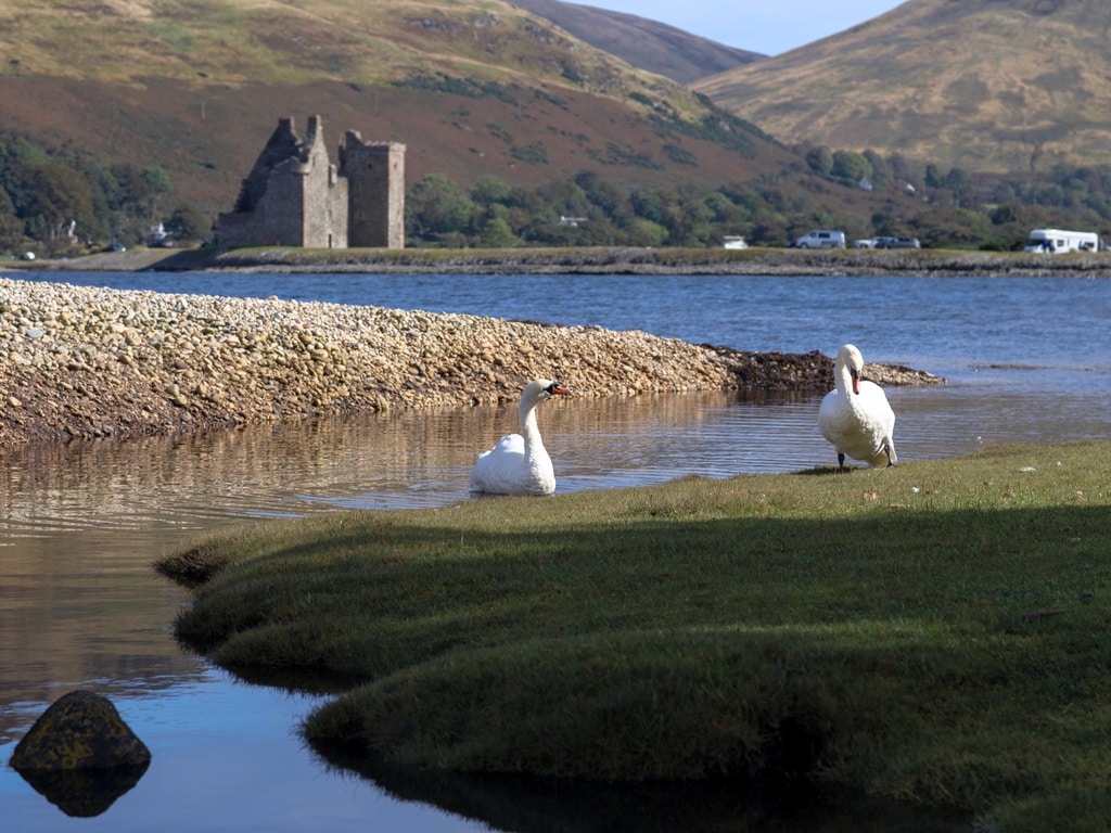 Beach in Lochranza with the Castle in Background