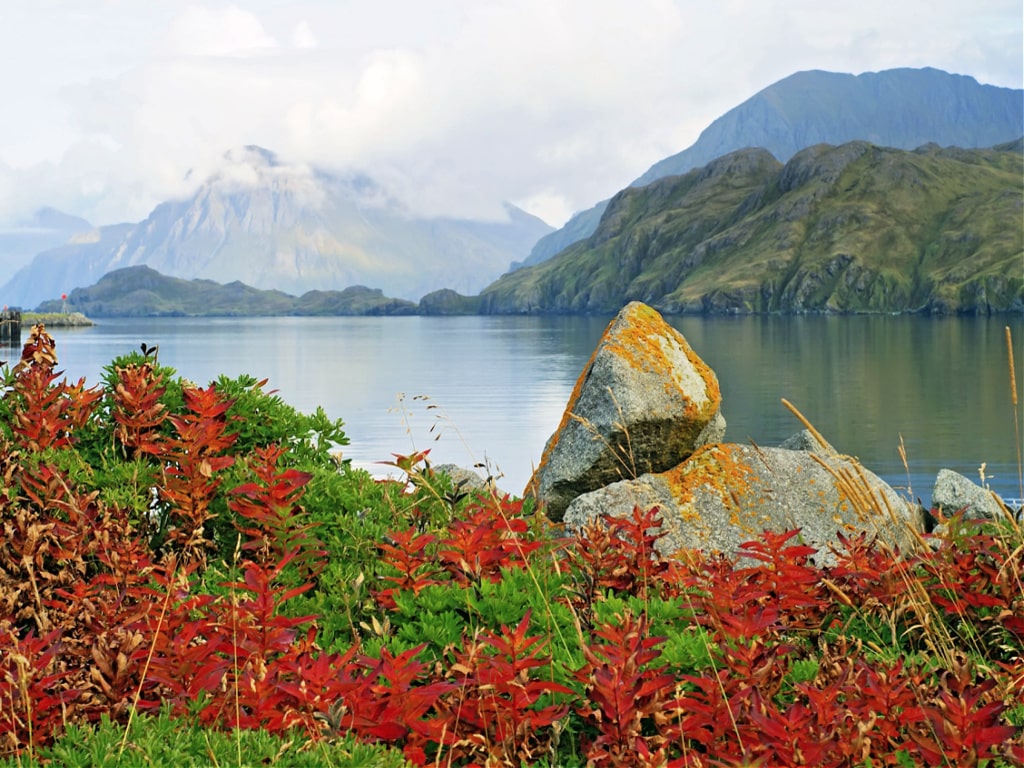 10 Best Islands to Visit in Alaska for Unforgettable Adventures (2024)