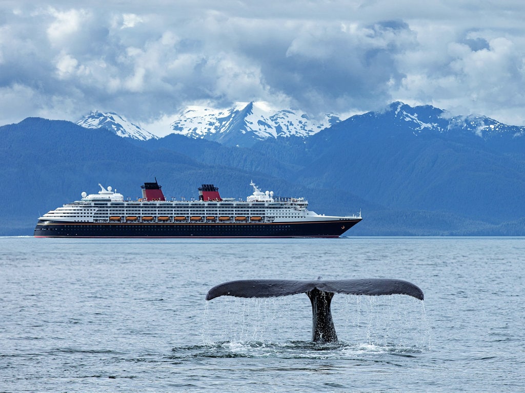 alaska cruise ship wave