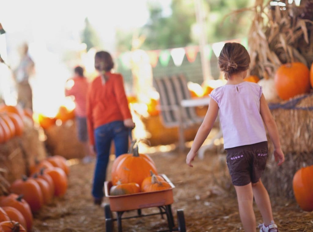 Girls picking pumpkins