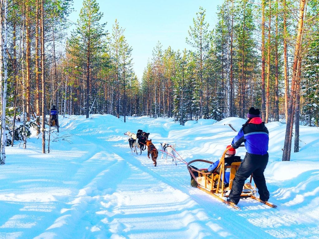 Best things to do in Fairbanks