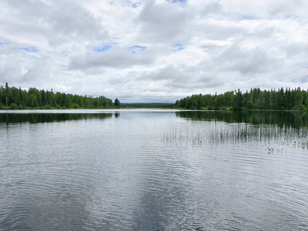 Johnson Lake on the Kenai Peninsula