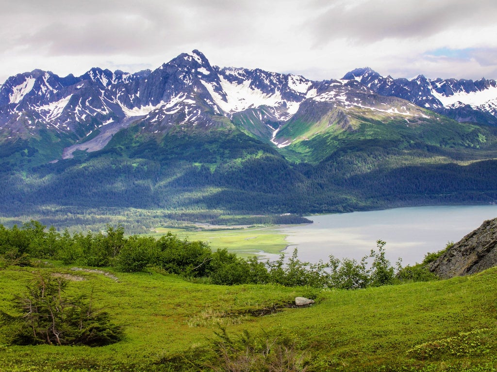 View of Mount Alice and Seward harbor from a hiking trail on Mount Marathon in Seward