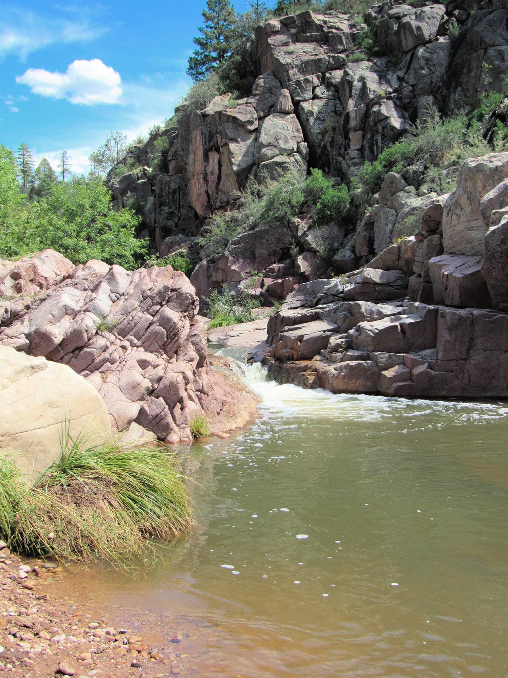 Ellison Creek Pool