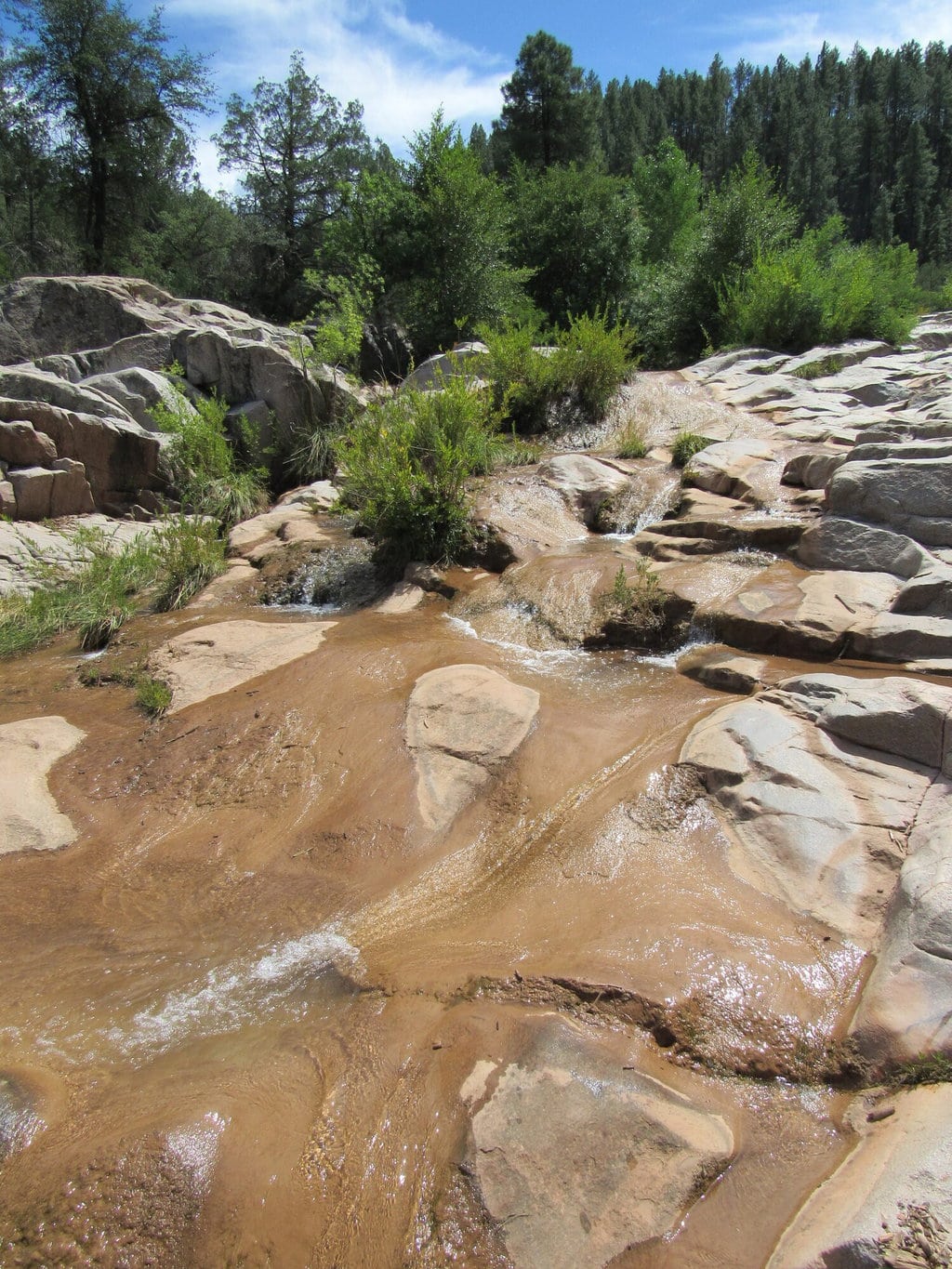 Ellison Creek Seen on the Water Wheel Falls Hiking Trail