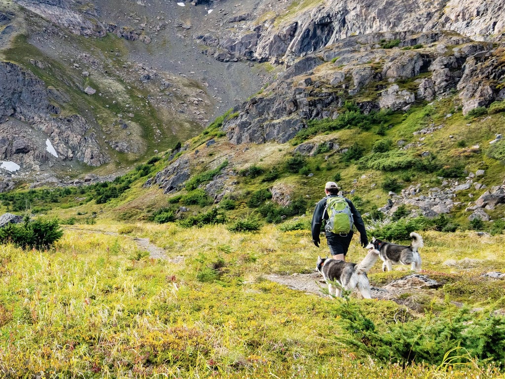 Hiking with Husky Dogs on the Flattop Trail, Alaska
