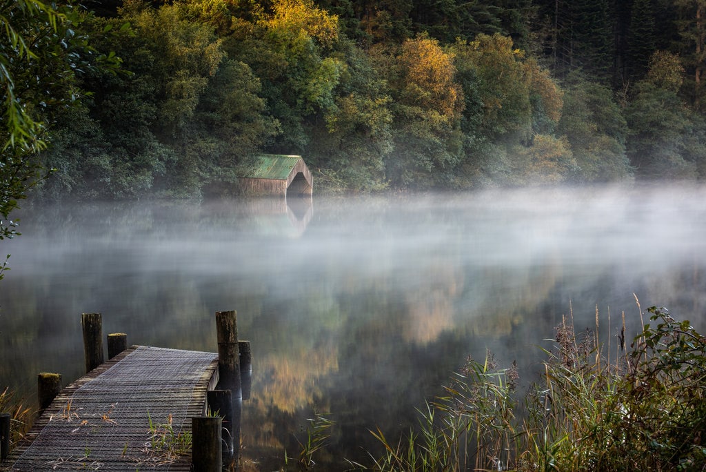 A misty autumn morning at sunrise on Loch Ard in the Trossachs National Park