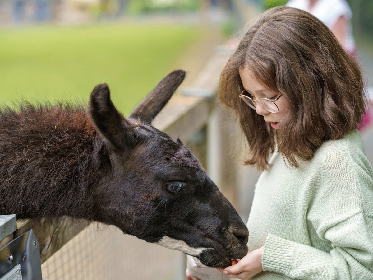 Best Zoos Near Newcastle