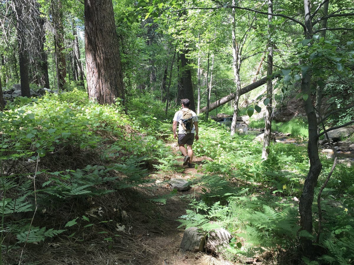 Hiking Along the Horton Creek Trail