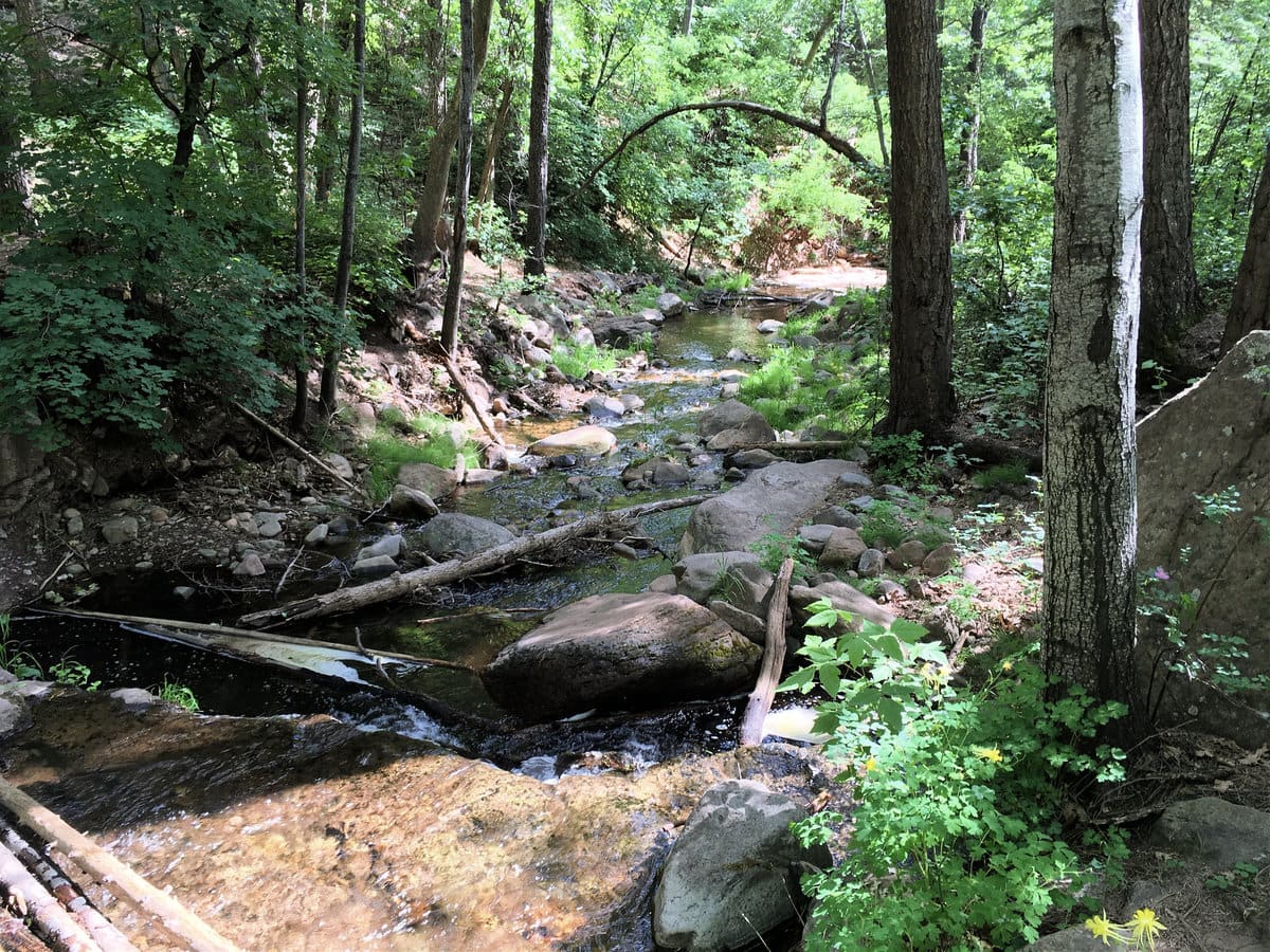 Horton Creek Trail: Complete Guide, Map, & Pro Tips (2024)