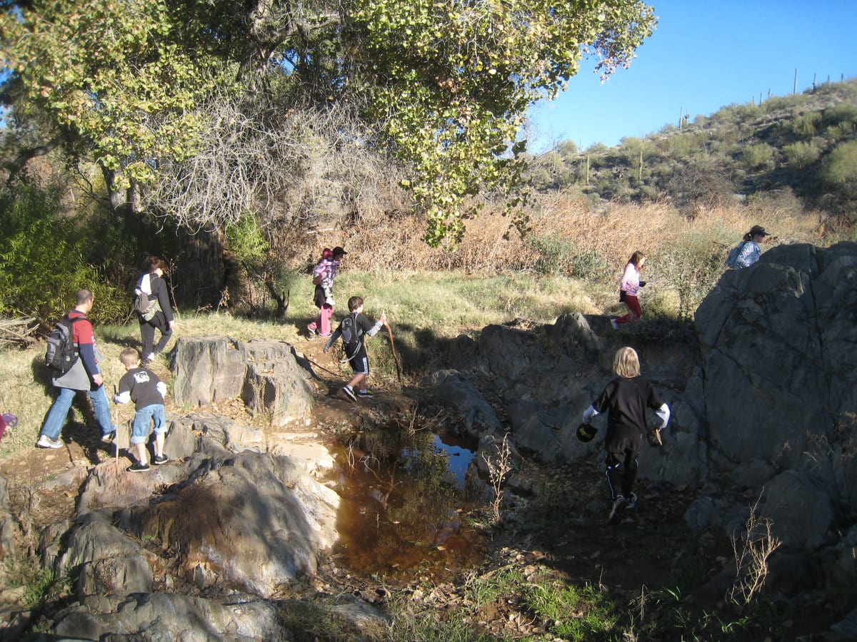 Kids Exploring the Jewel of the Creek Preserve