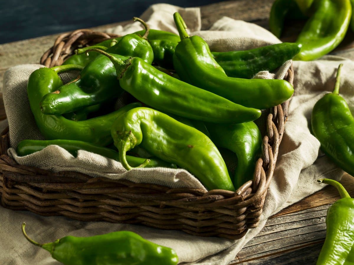 A basket of Hatch green chilis