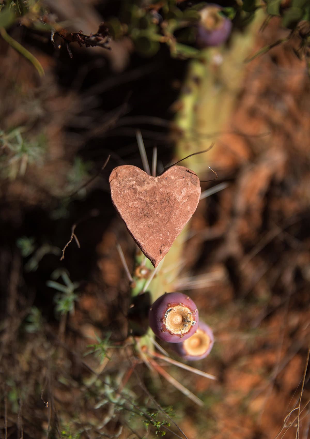 A heart-shaped sandstone in Sedona, Arizona