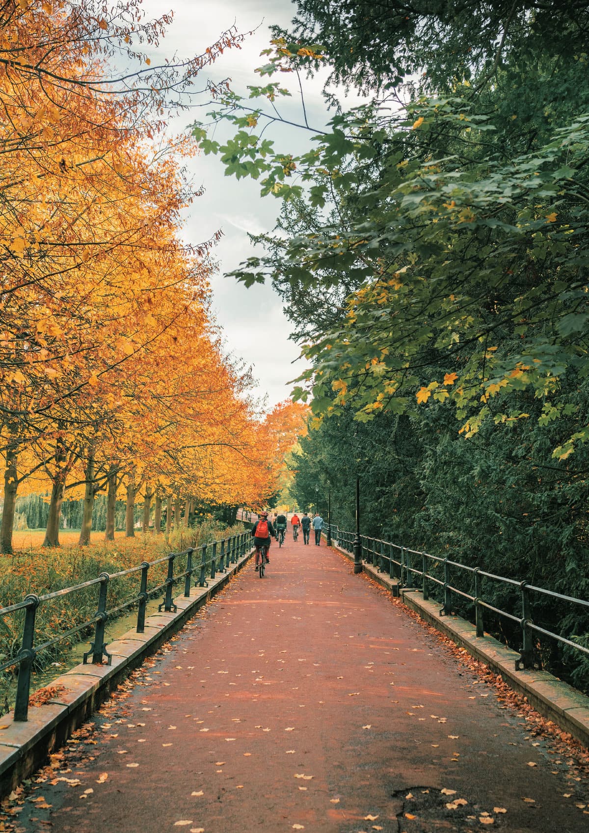 Cyclists along the Cambridge cycling route in autumn