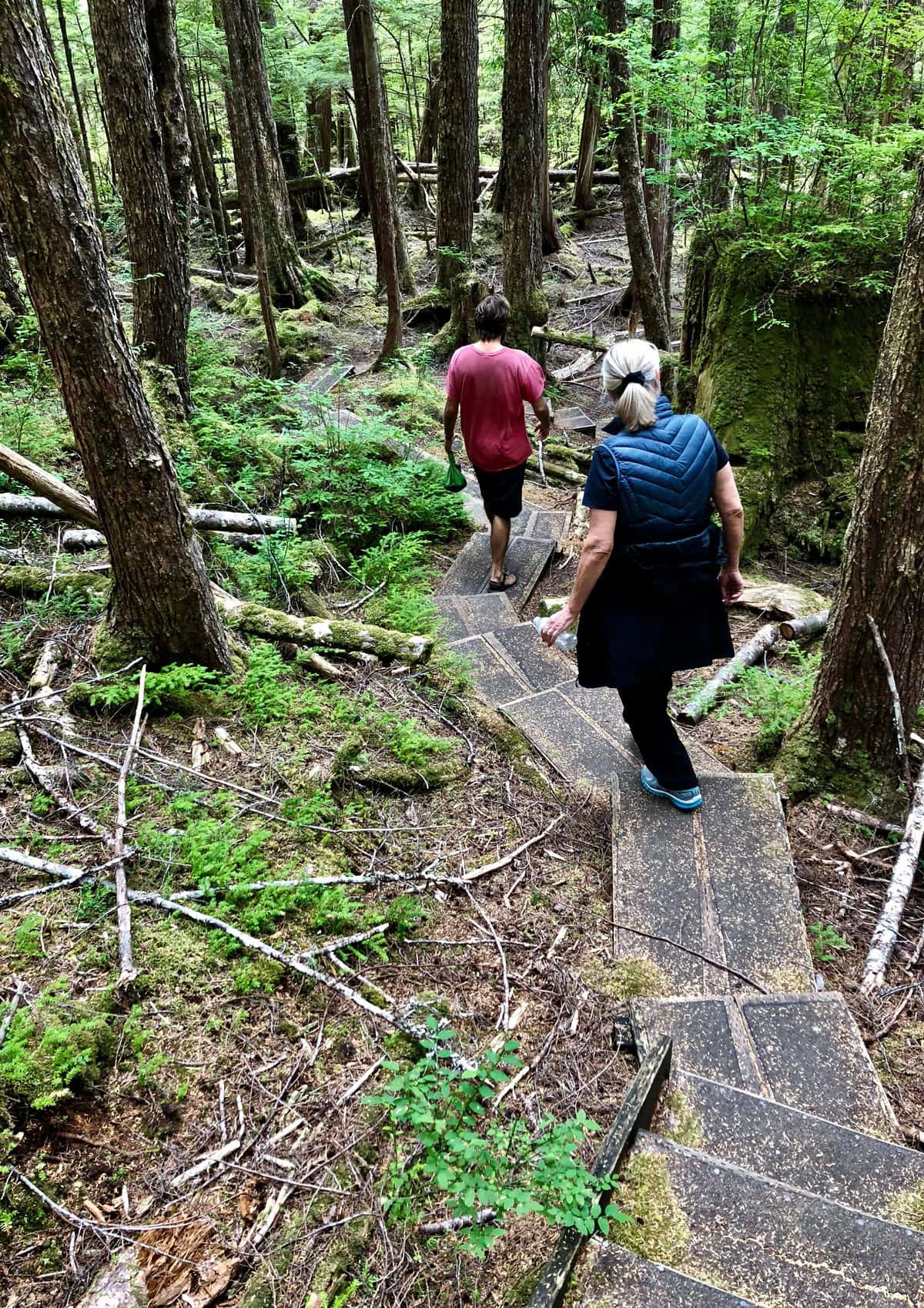 Hikers at Tongass National Forest in Juneau, Alaska