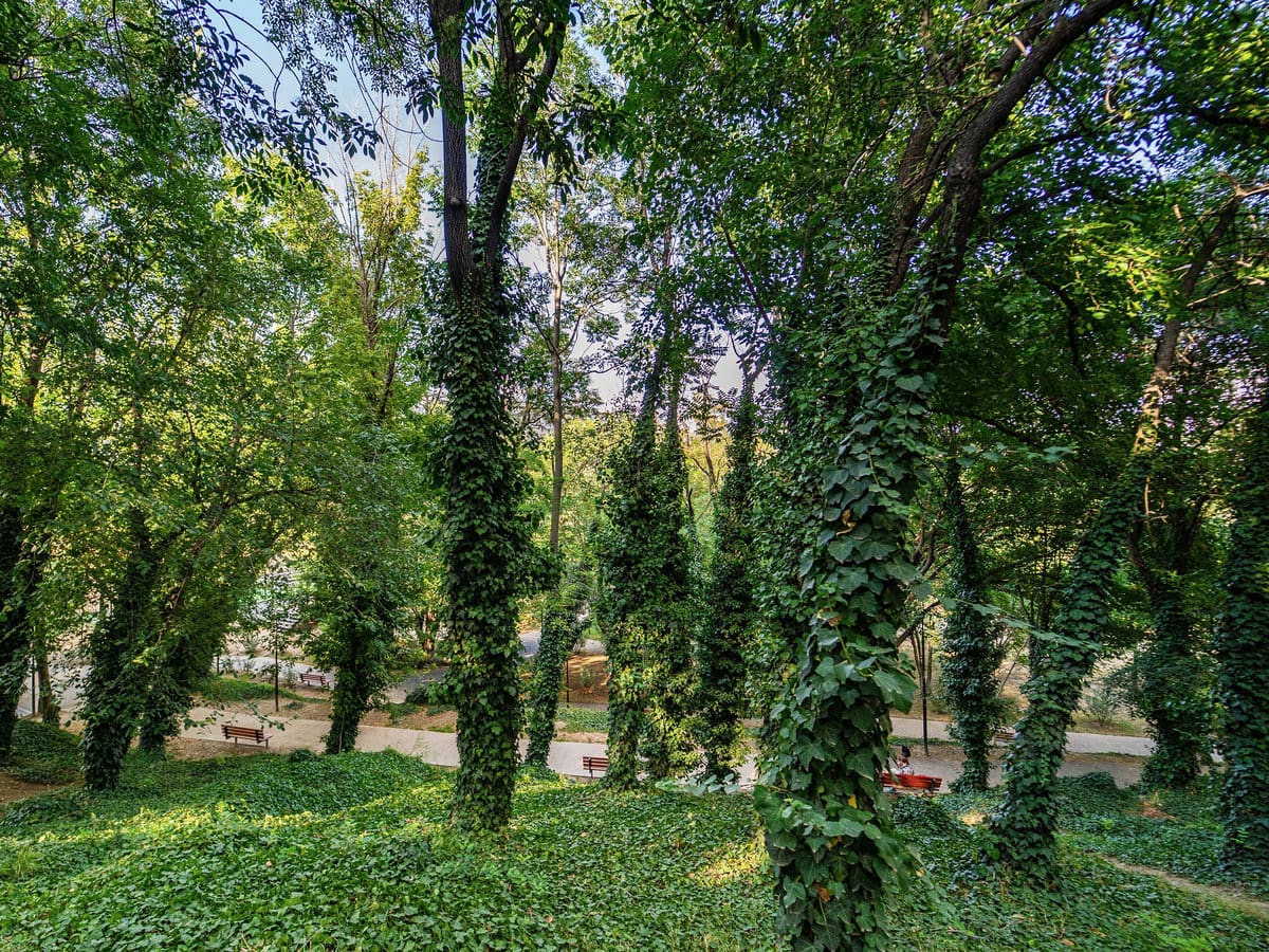 Mziuri Park in Tbilisi, Georgia