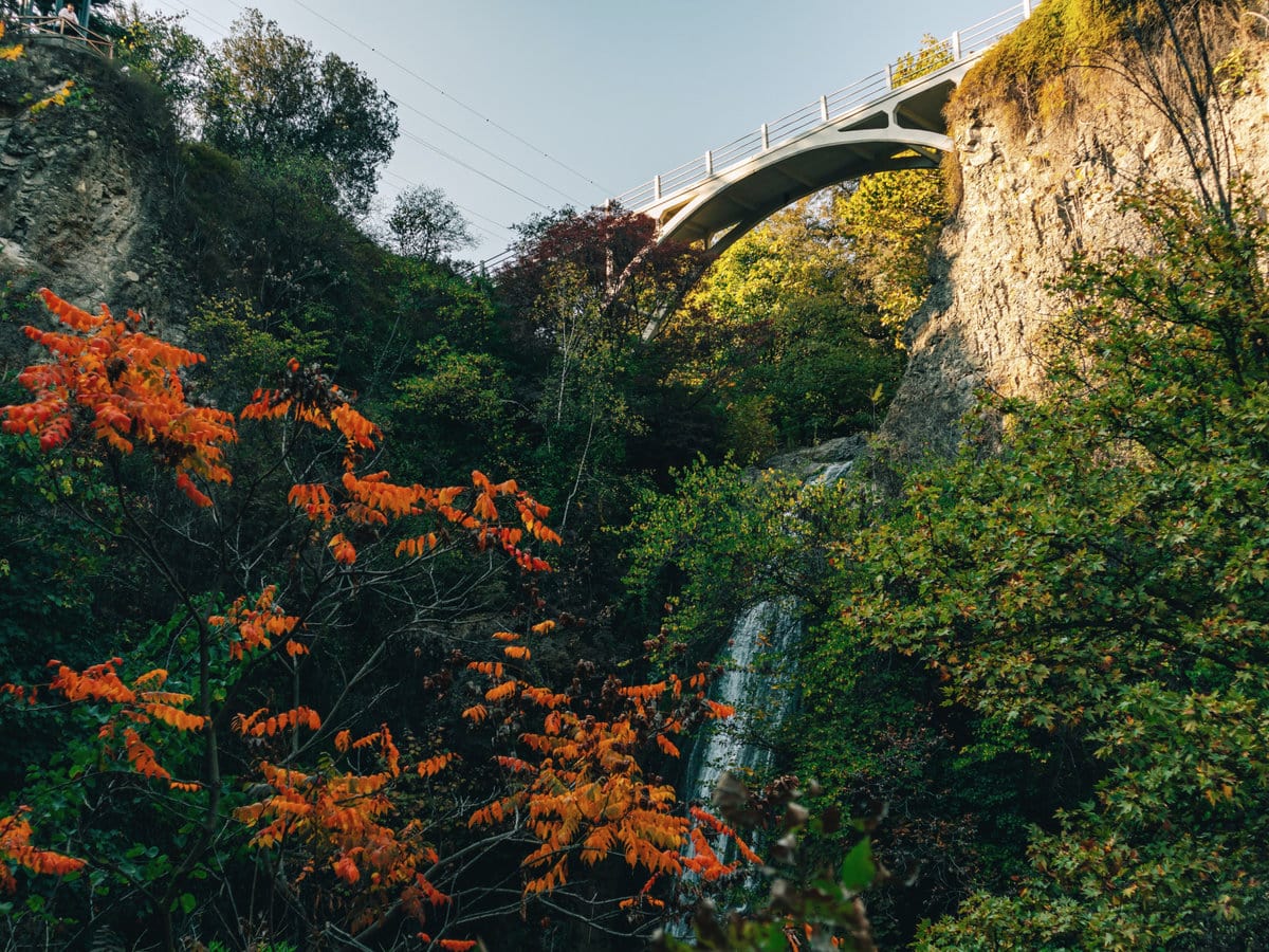 National Botanical Garden of Georgia in Tbilisi During the Autumn