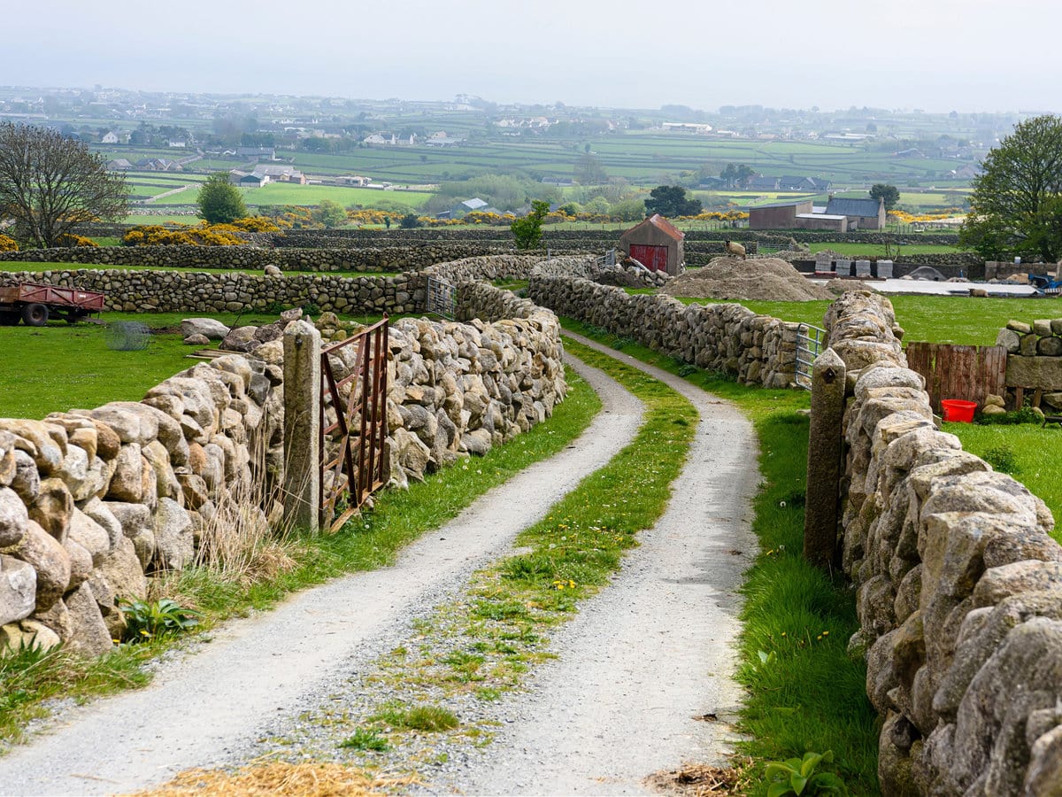 A lane with traditional dry stone walls around the Mourne Mountains in Northern Ireland