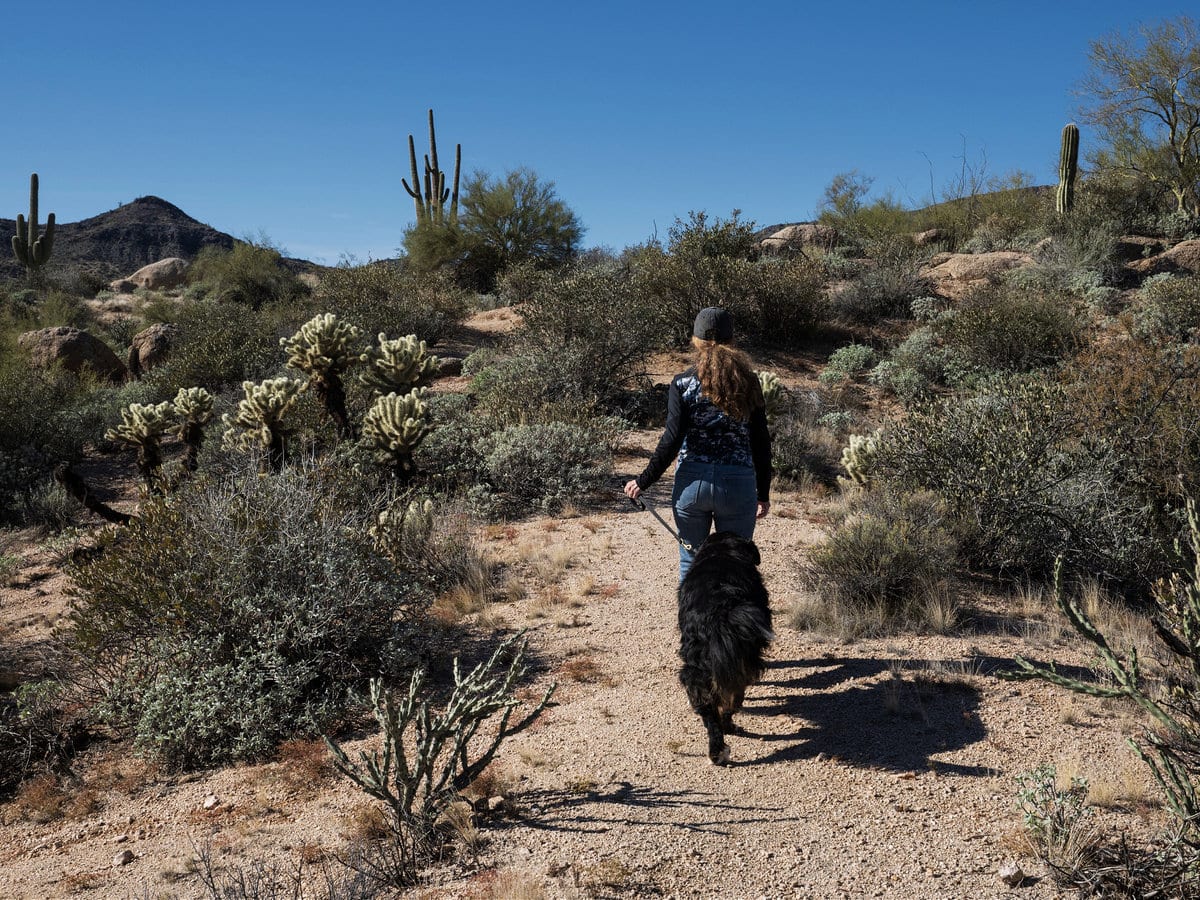 A woman and her dog walking in the Arizona Sonoran desert