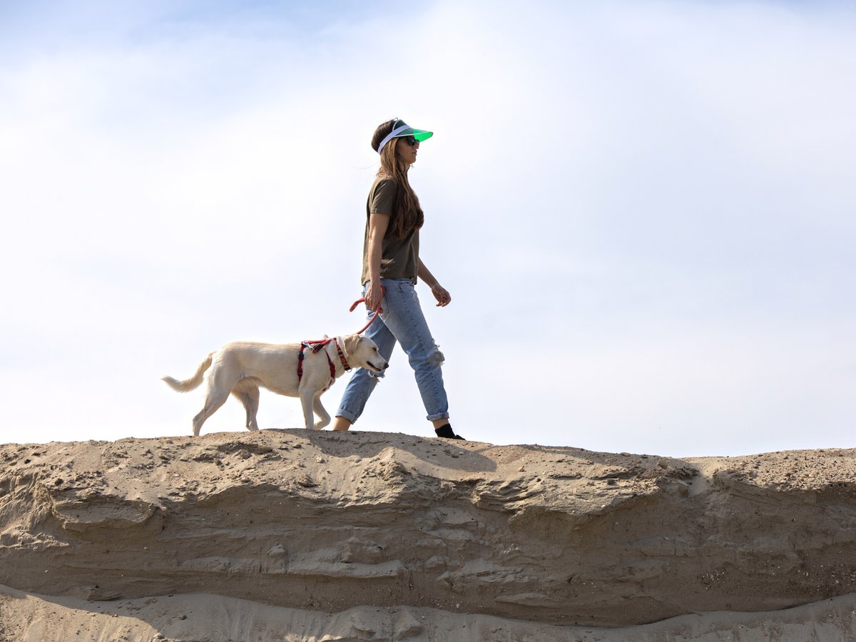 A Woman Walking Her Dog in a Desert