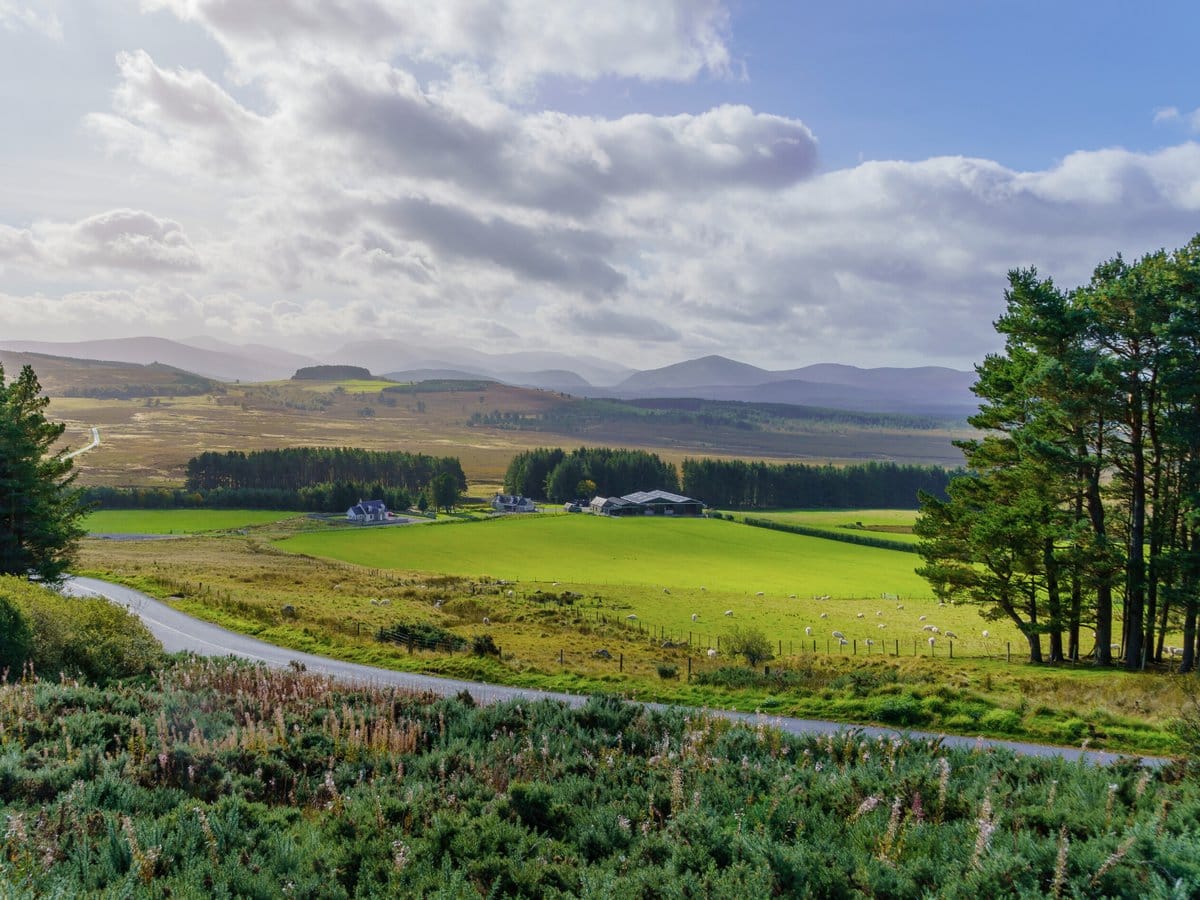 Cairngorms National Park in Scotland